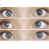 Sweety Iris Grey